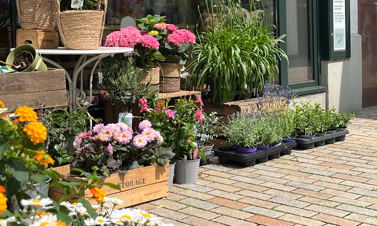 Gutschein: Blumen Interfleur 