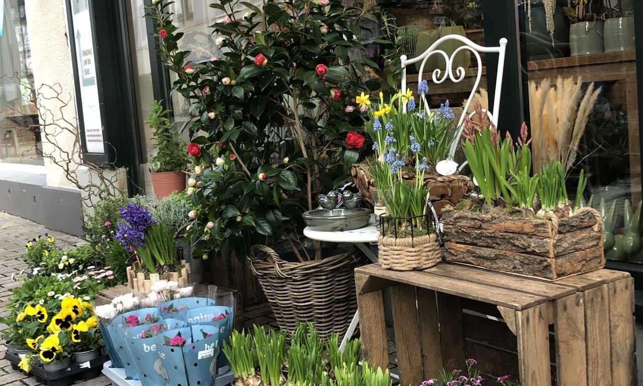 Interfleur Frühlingsblüher