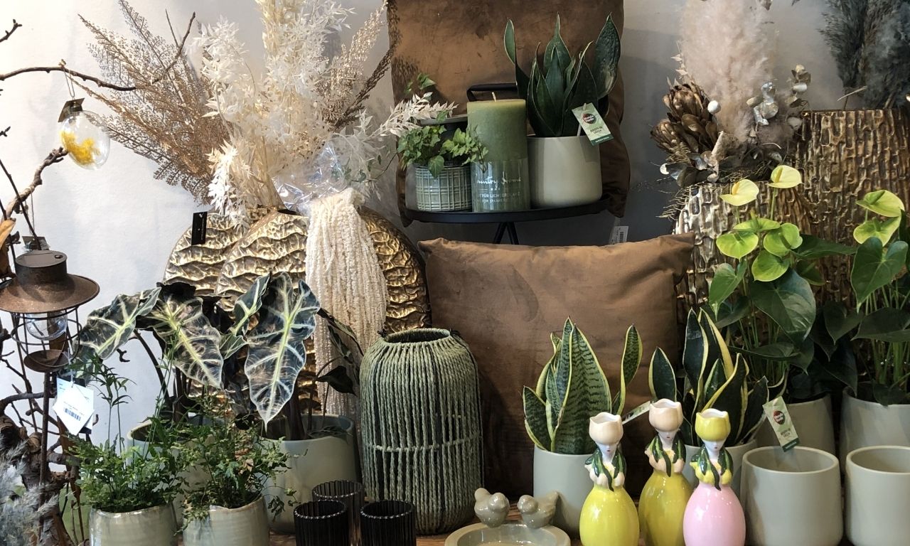 Interfleur Deko und Zimmerpflanzen