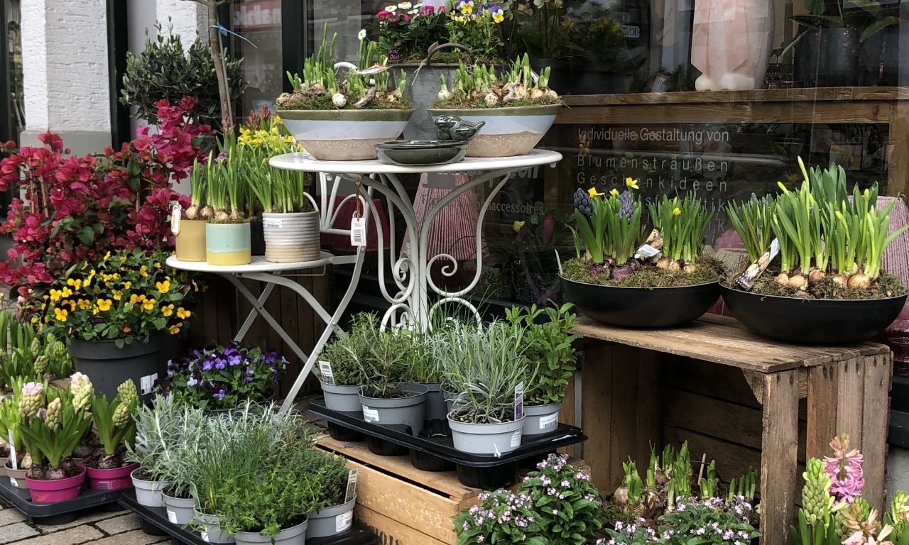 Interfleur Kräuter und Frühlingsblumen