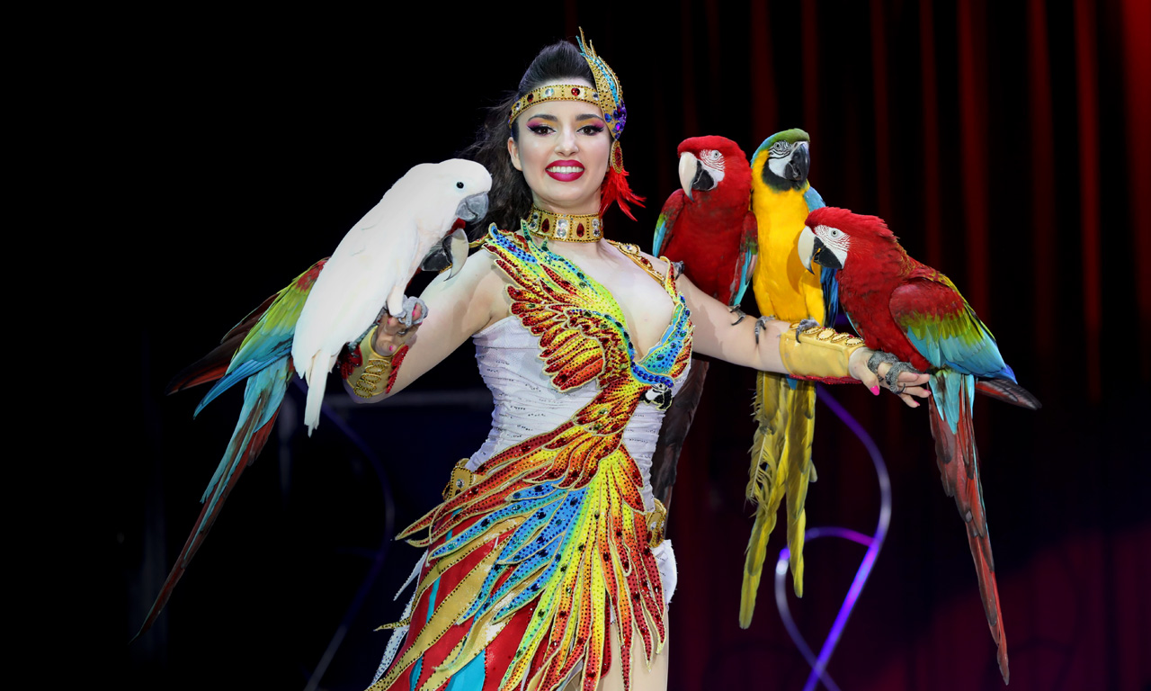 Gutschein: Zirkus Charles Knie Gutschein: Zirkus Charles Knie